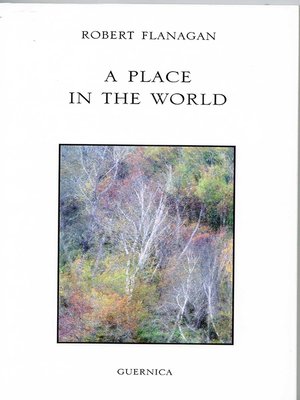 cover image of A Place In The World